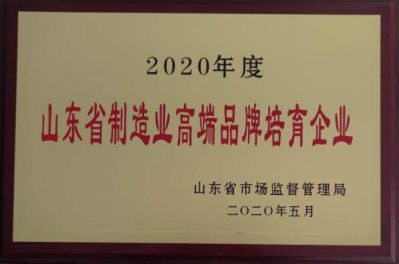 2020年山东省制造业高端品牌培育企业
